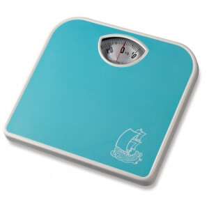 NT4303 เครื่องชั่งน้ำหนัก Camry BR2017